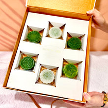 Load image into Gallery viewer, Pandan Custard Mooncake 班蘭奶黃椰汁糕月餅
