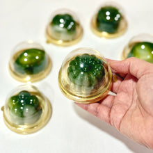 Load image into Gallery viewer, Pandan Coconut Kueh Mid Autumn Gift Set 班蘭椰汁糕中秋禮盒